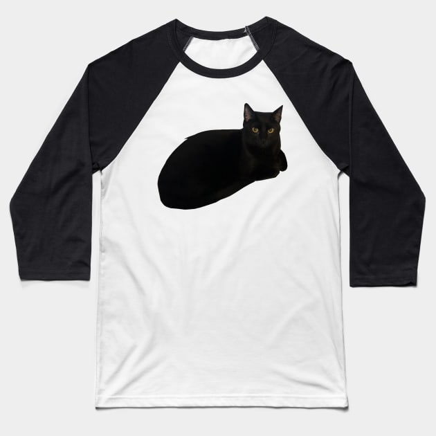 Black Cat Loaf Baseball T-Shirt by whizz0